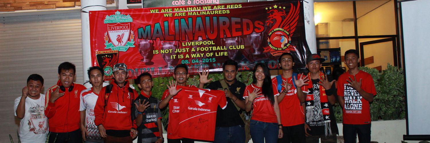 MalinauReds's profile banner image