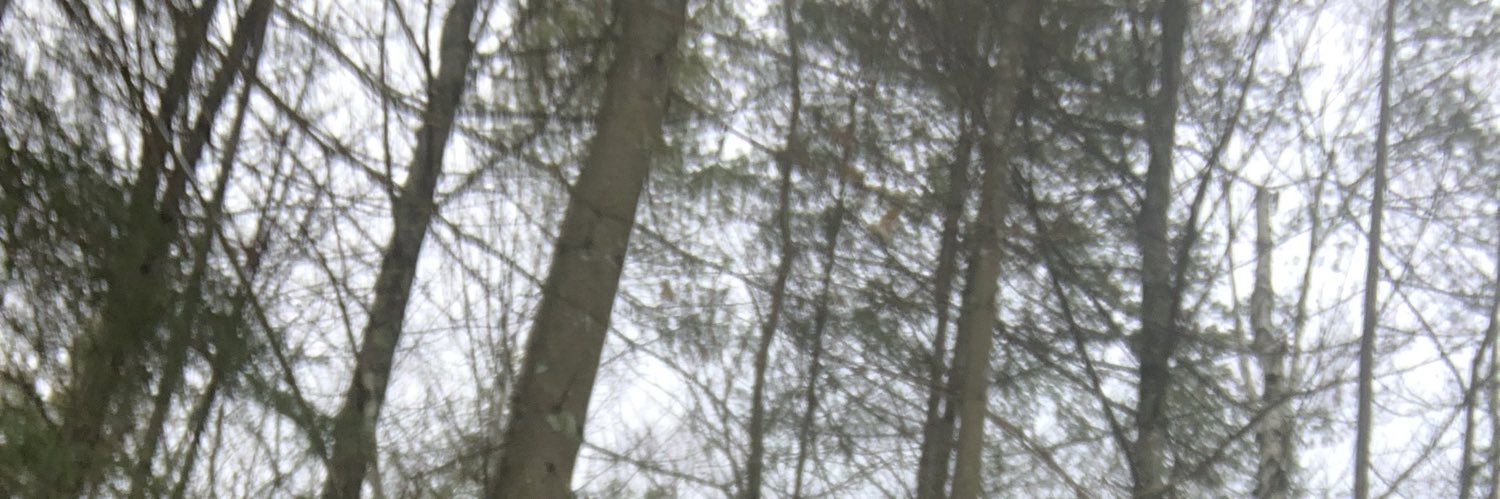 btbzm94's profile banner image