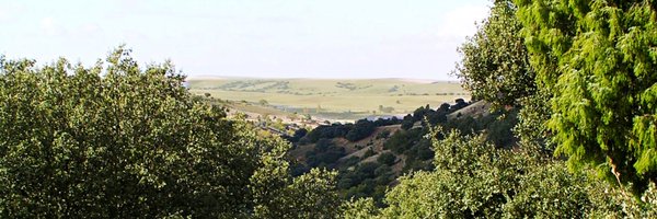 SegoviaSur Profile Banner