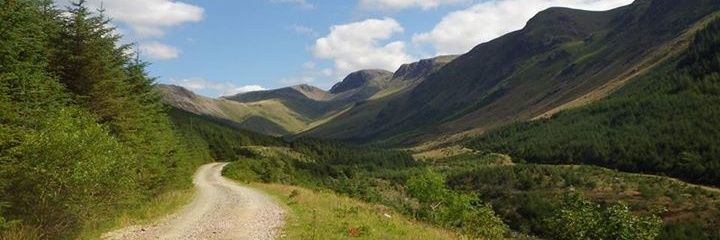 Neil Hardiman banner