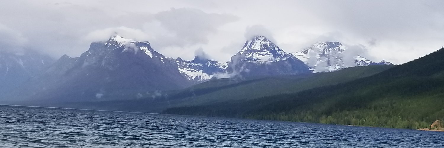 JessEllisCNM's profile banner image