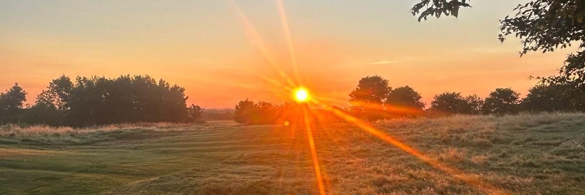 StigOfTheDumpUK's profile banner image