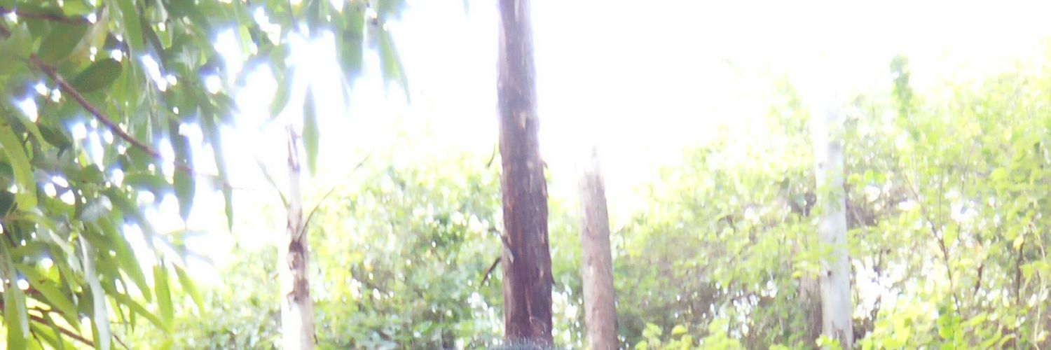 KainoEvanz's profile banner image