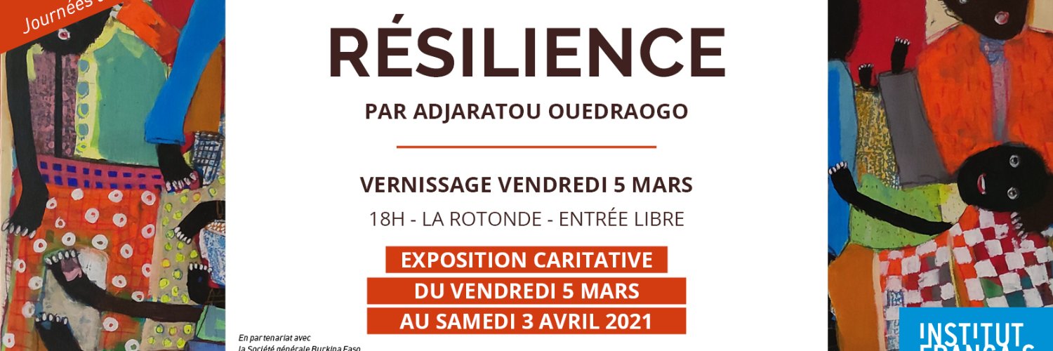 Institut français BF banner