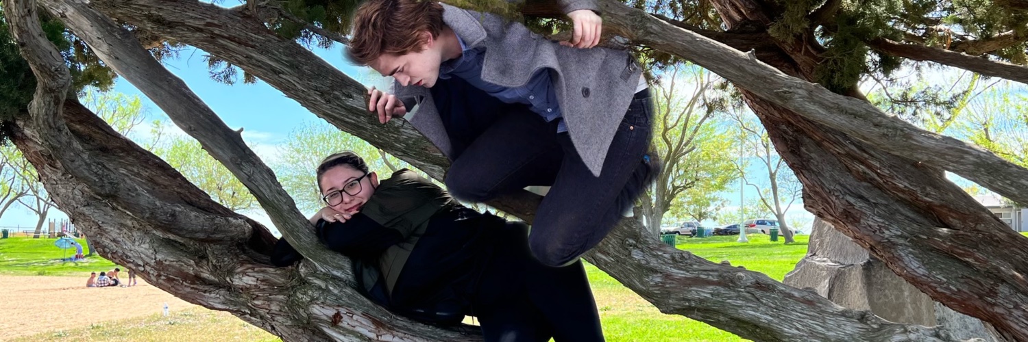 Allisssonn's profile banner image