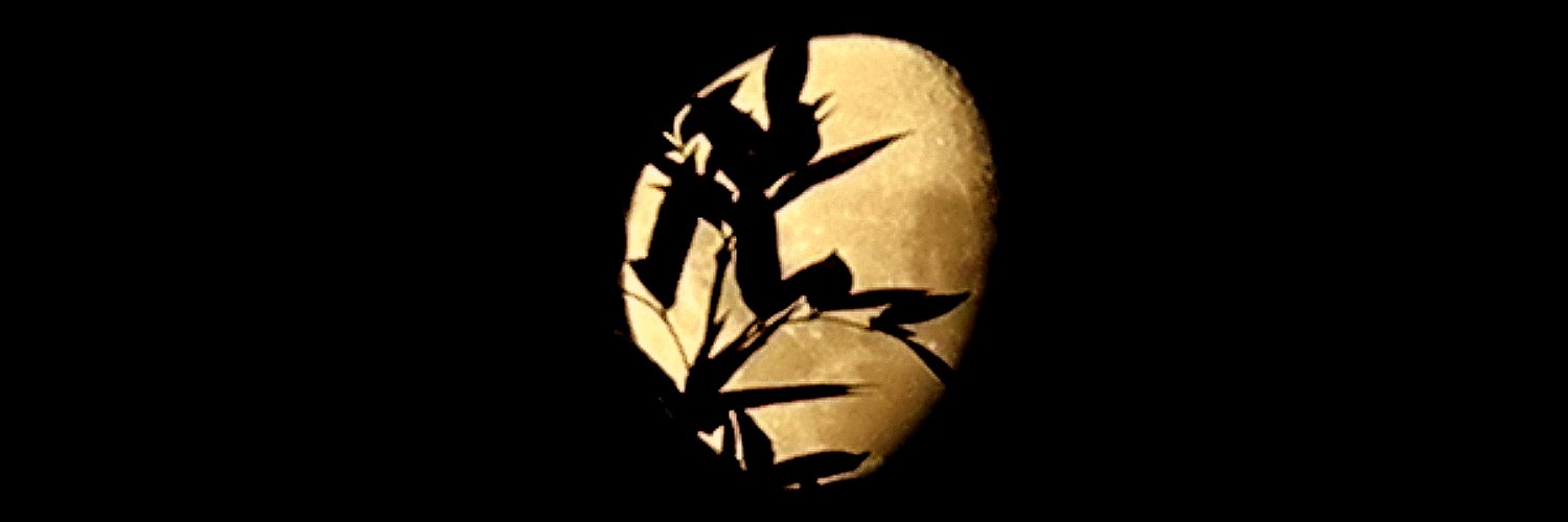 SilvineTG's profile banner image