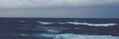 evikth's profile banner image