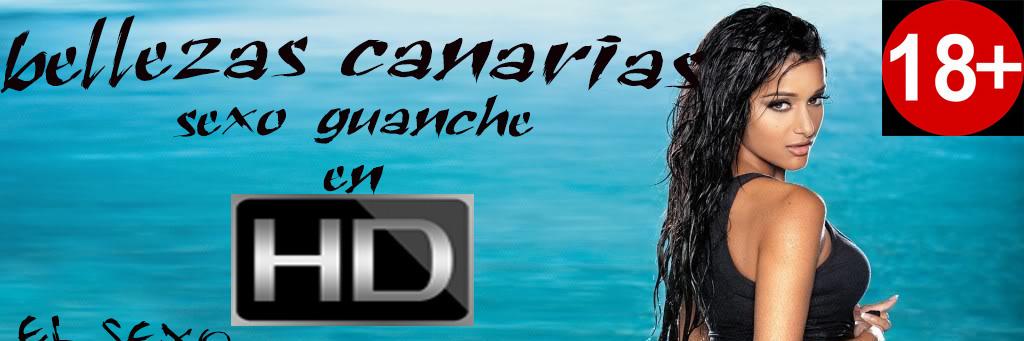 bellezascnr's profile banner image