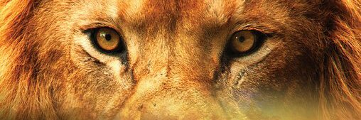 twinquise's profile banner image