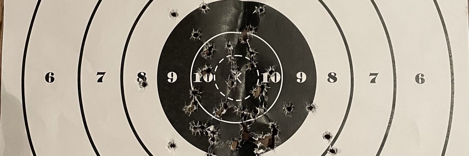 P0lluxD's profile banner image