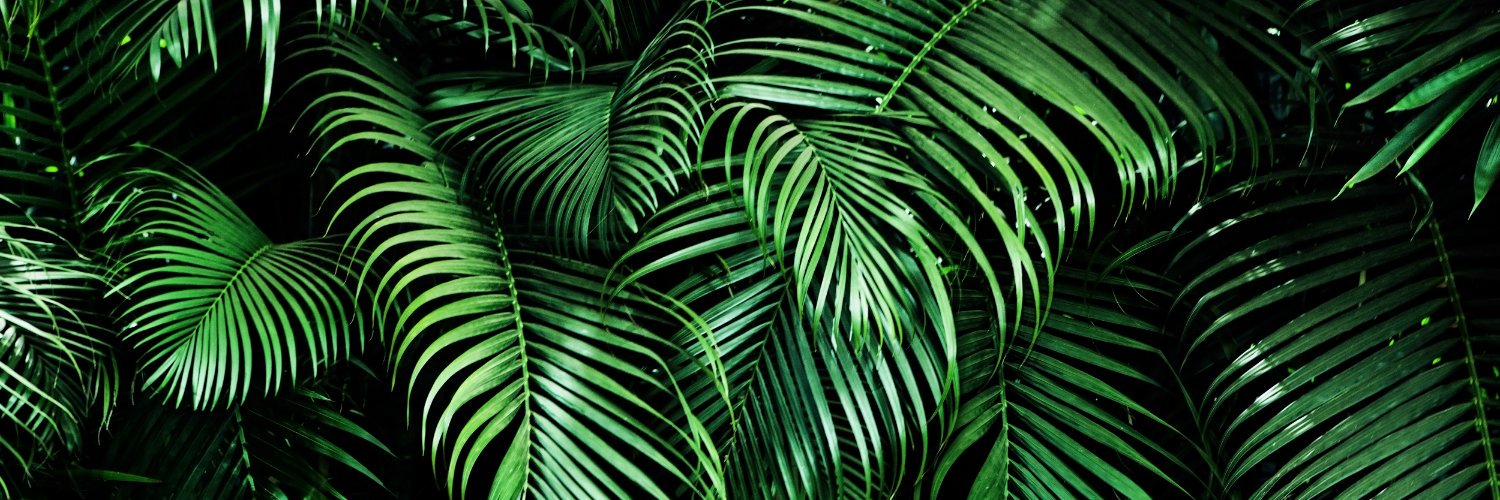 GuahanGrill's profile banner image