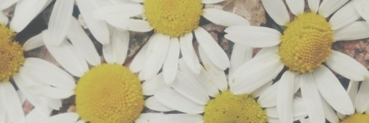 CortCortCort_'s profile banner image