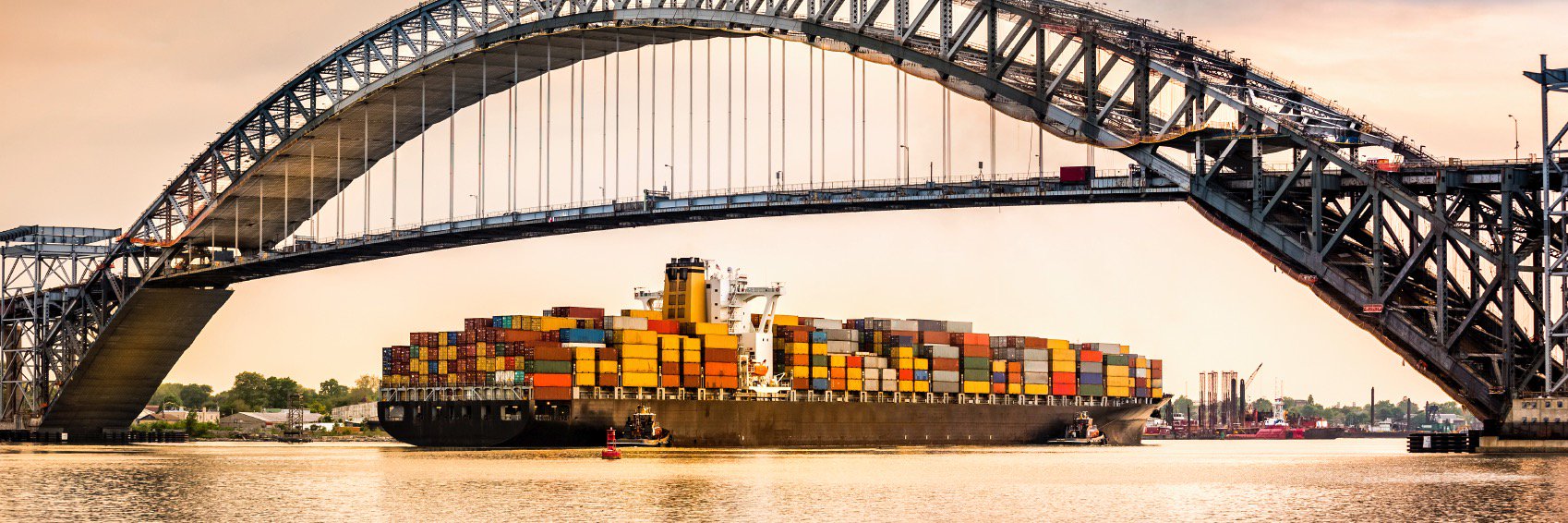 Nick Chiaravalloti banner