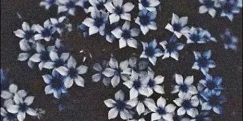 5SecondOfChat's profile banner image