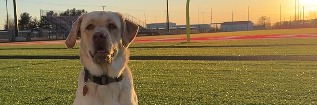 CoachReiff's profile banner image