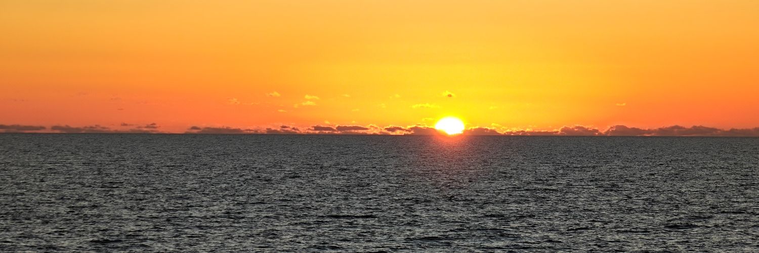 Gators300's profile banner image