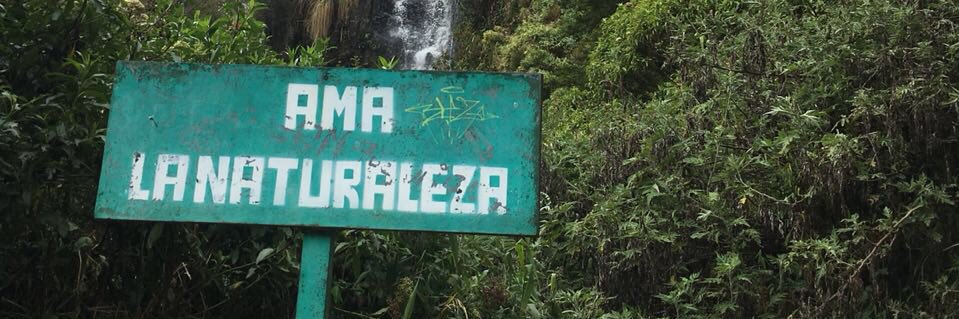 Editorial Monigote banner