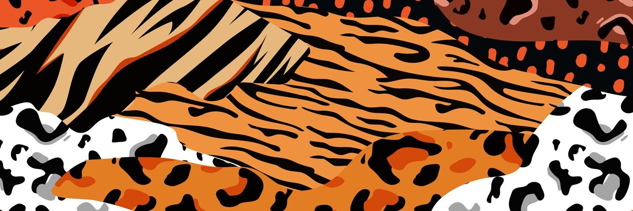 RhuanPaul's profile banner image