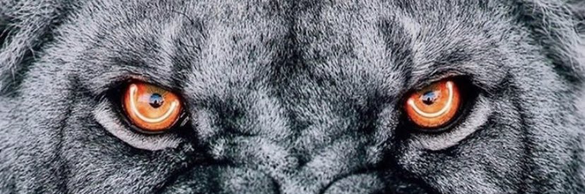 _winter_coming's profile banner image