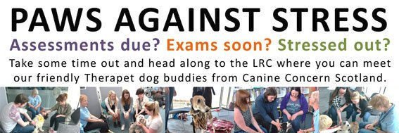 CanineConcernTrust banner