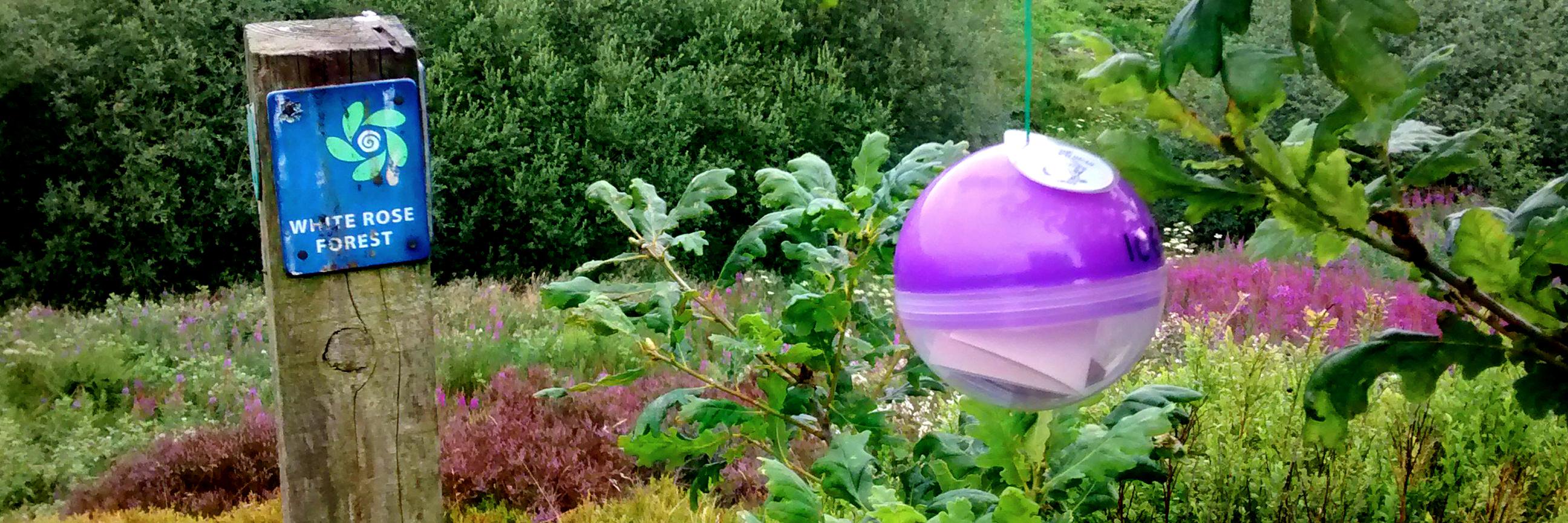 Bear Hunt Kirklees banner