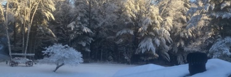 lori4384's profile banner image
