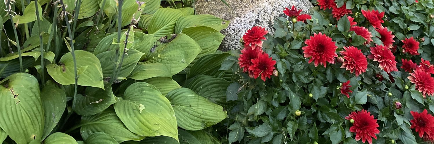 Beverley Jacobs banner