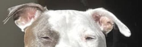 shopswu's profile banner image