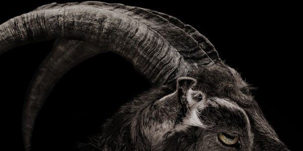 elmago_evon's profile banner image