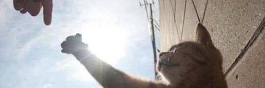 AnCronzz's profile banner image