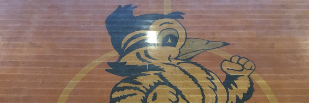 Sylvan Elementary banner