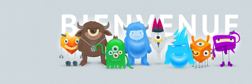 TemplateMonster FR banner