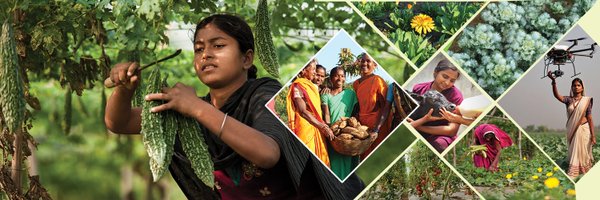 Indian Council of Agricultural Research. Profile Banner