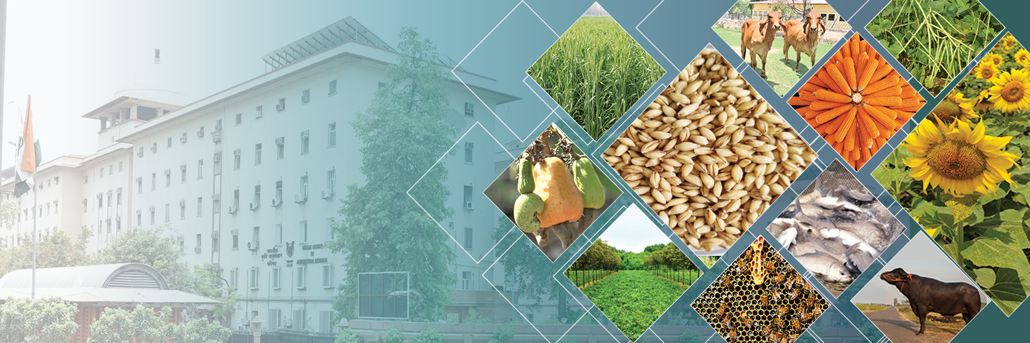 Indian Council of Agricultural Research. banner