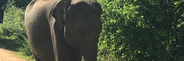 scottdx Profile Banner