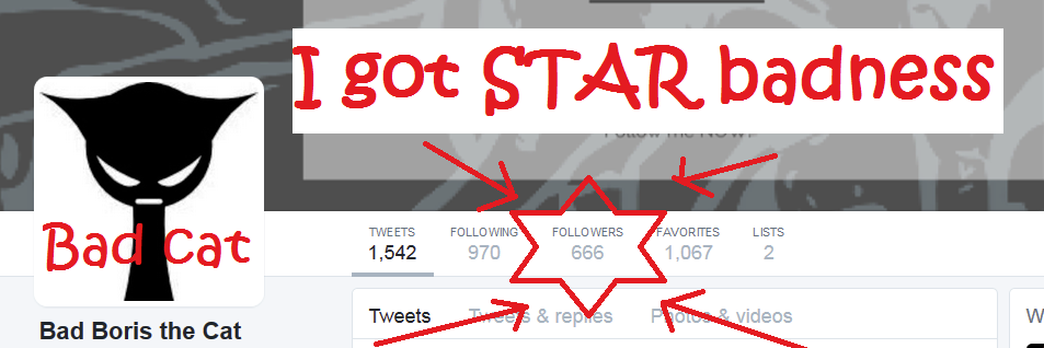 BadBorisTheCat's profile banner image