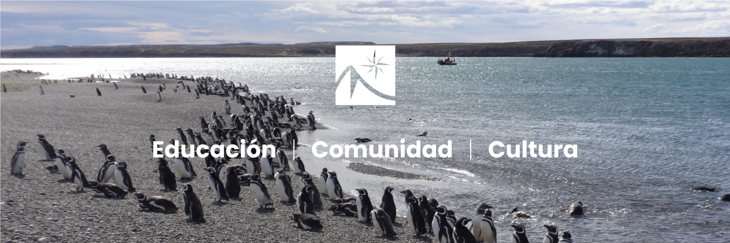 FundacionBSC's profile banner image