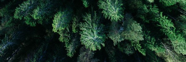 CSRphil Profile Banner