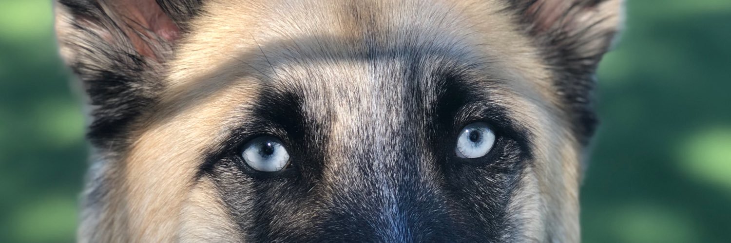 reenamaee's profile banner image