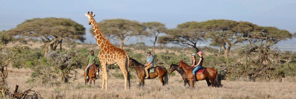 ClassicSafari's profile banner image