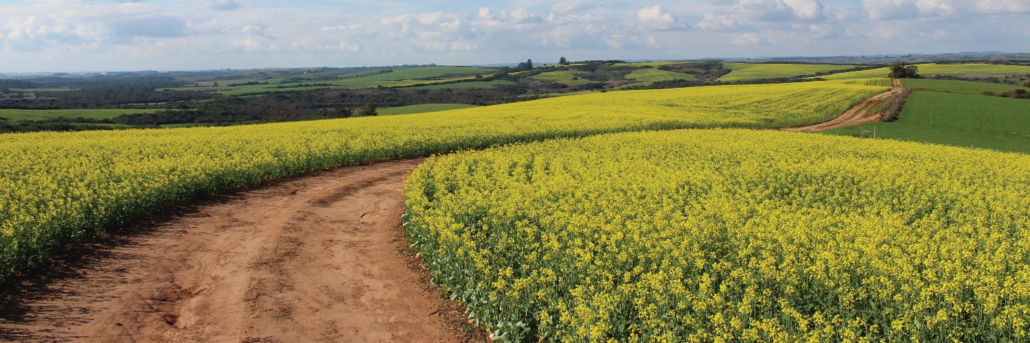 AreaOneFarms's profile banner image