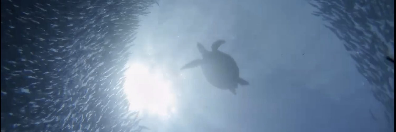 waldions's profile banner image