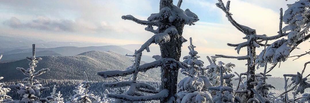jbrady627's profile banner image