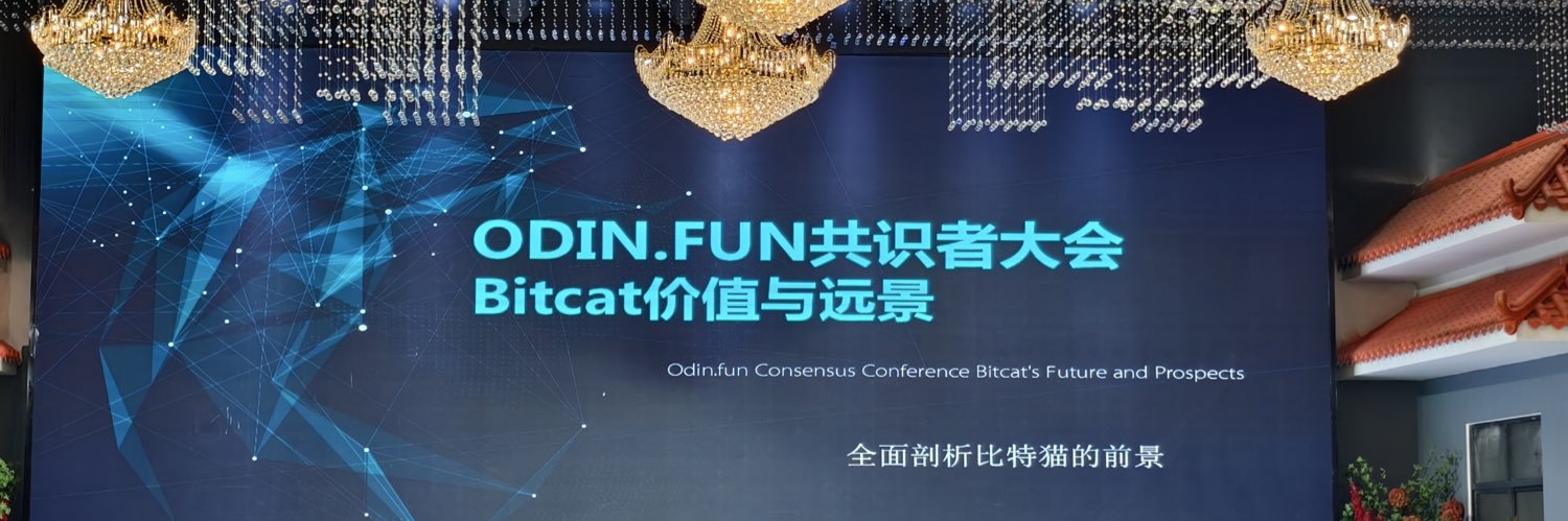 bitcat #odin.fun💎(cto) banner