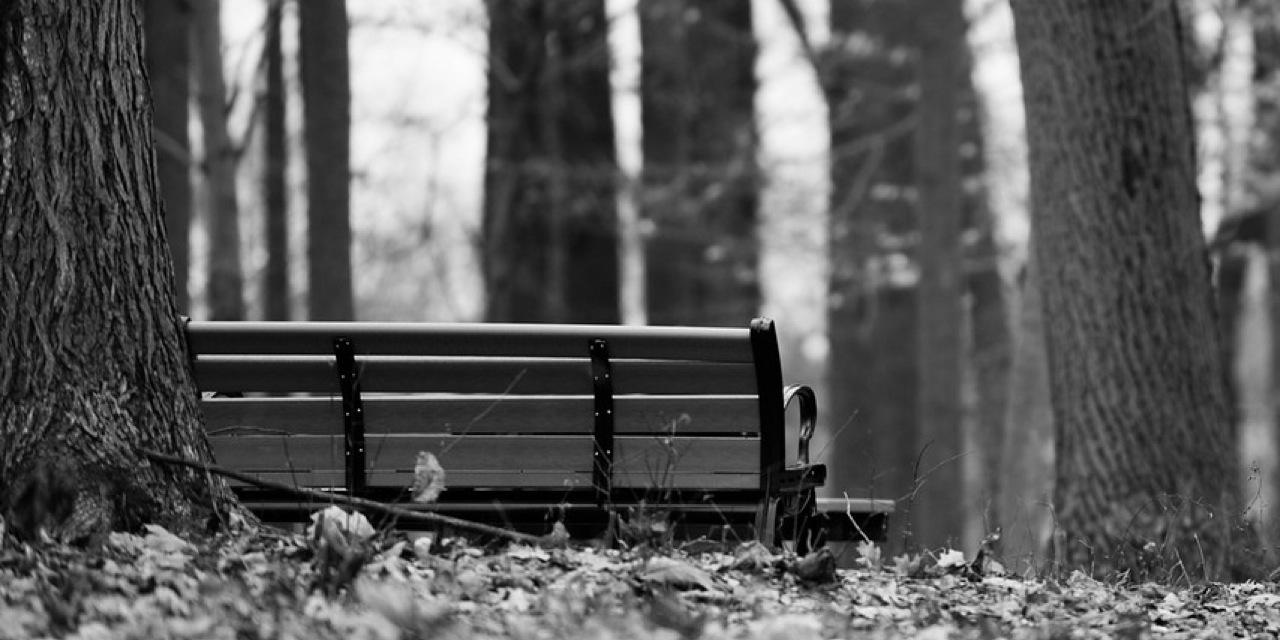 BroytmanPhotoCo's profile banner image