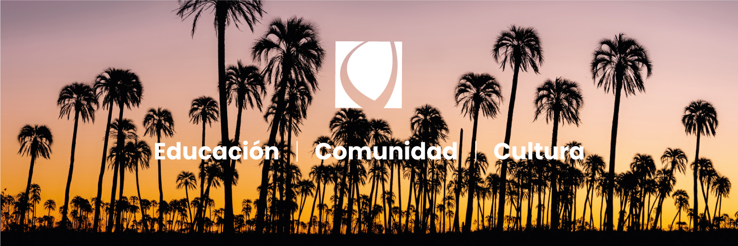 Fundación BER banner