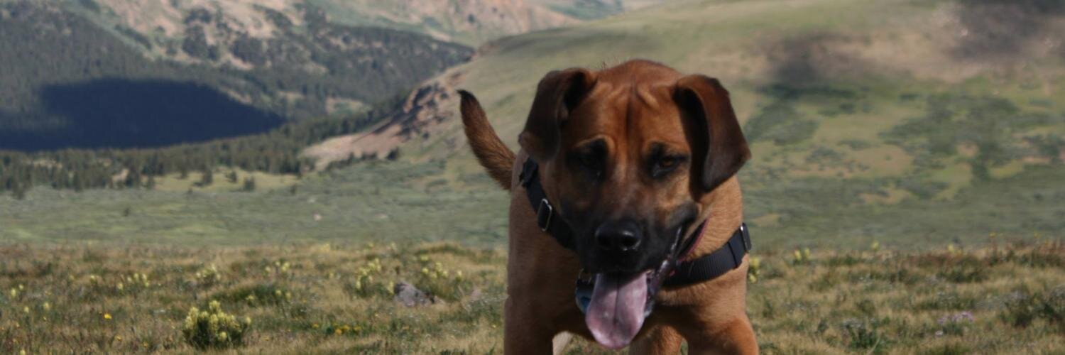 JeffJoerling's profile banner image
