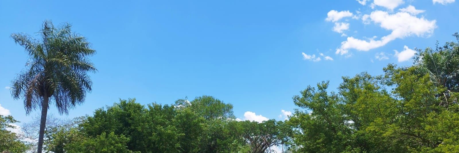veroquintanaf's profile banner image