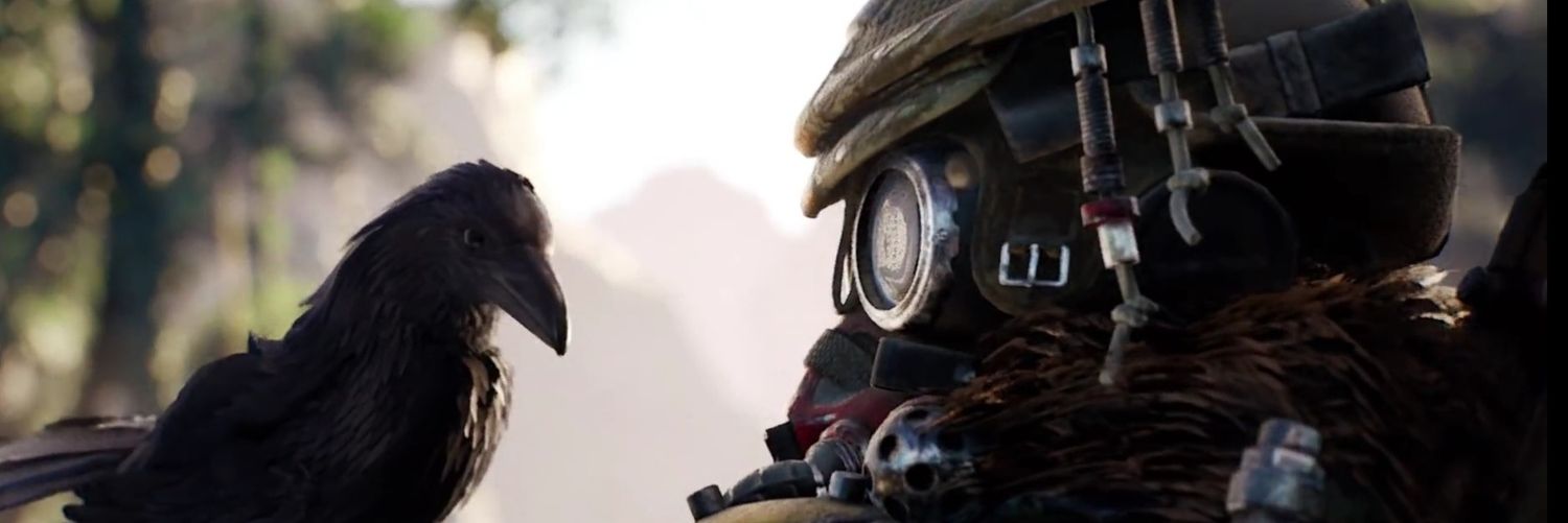 S.O.T.W banner
