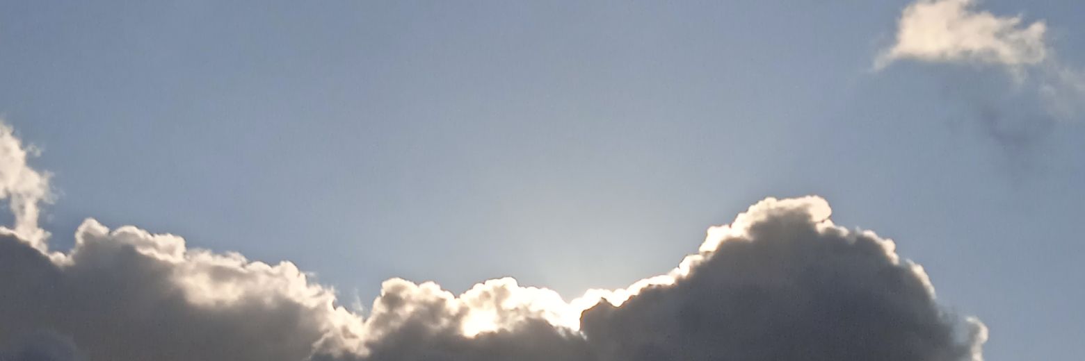 Alvaro Prieto banner